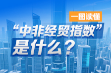 一图读懂丨“中非经贸指数”是什么？
