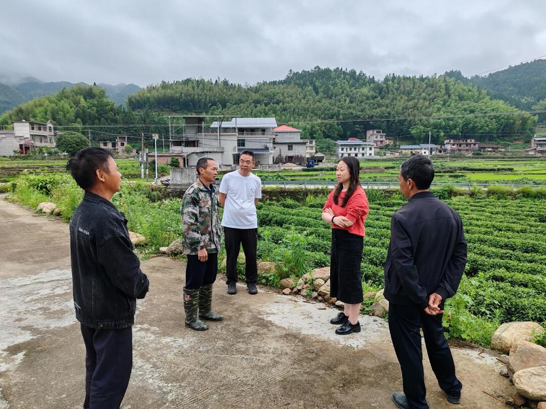 桂东清泉镇：基层治理提效能 改善民生增福祉