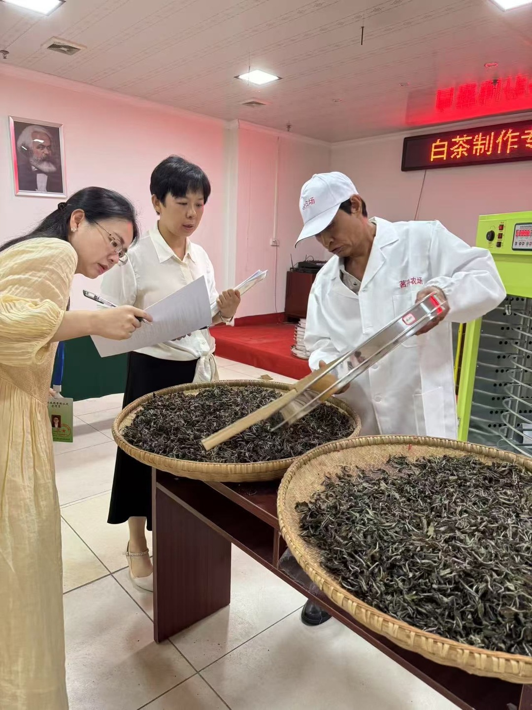 张家界市：59名白茶“匠人”持证上岗