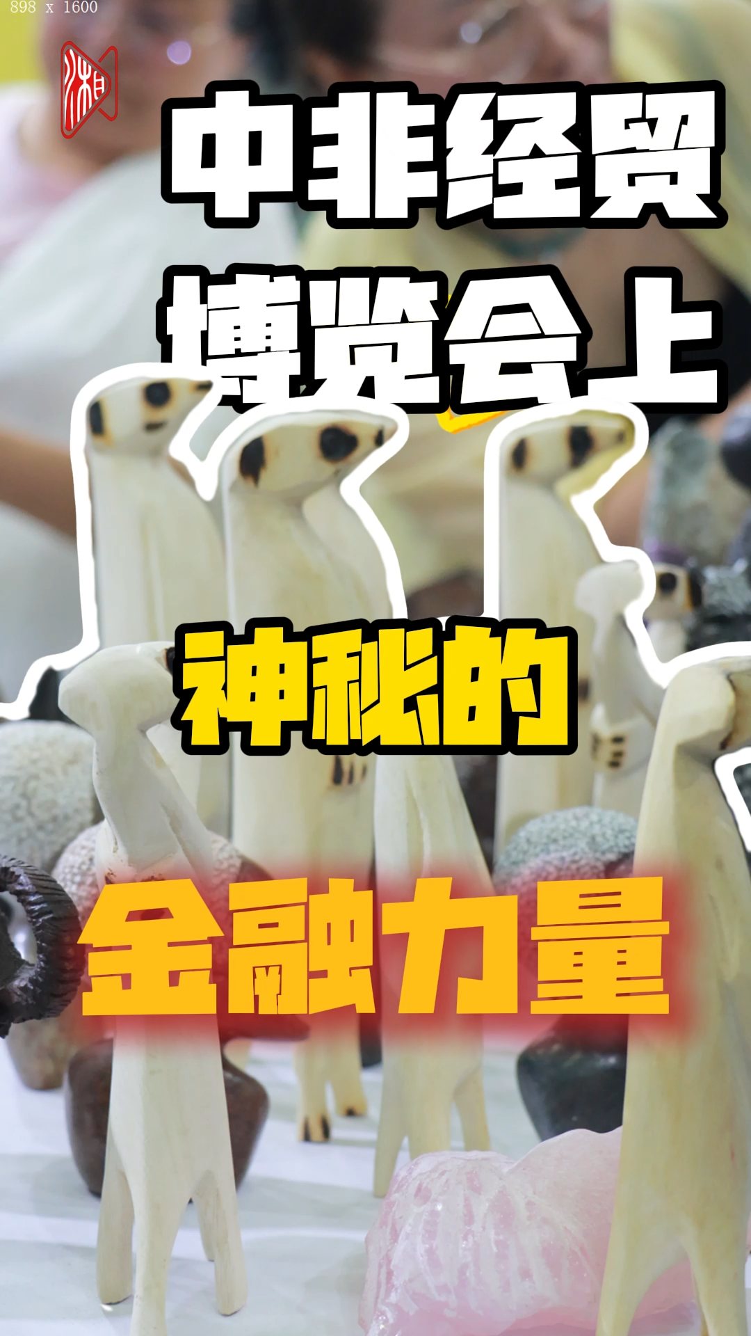 多“财”多“议”|中非经贸博览会上神秘的金融力量