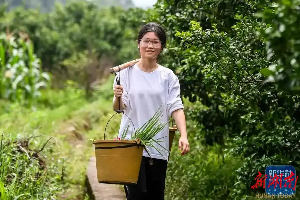 岳麓山评论丨一根扁担，让我们看到了新时代青年的担当与力量