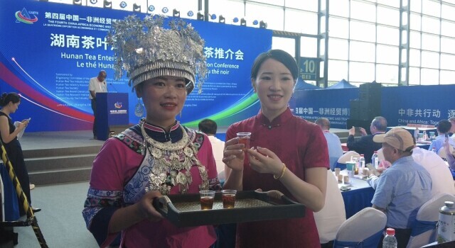 与非洲客商签订意向协议 ​新化红茶开拓非洲市场