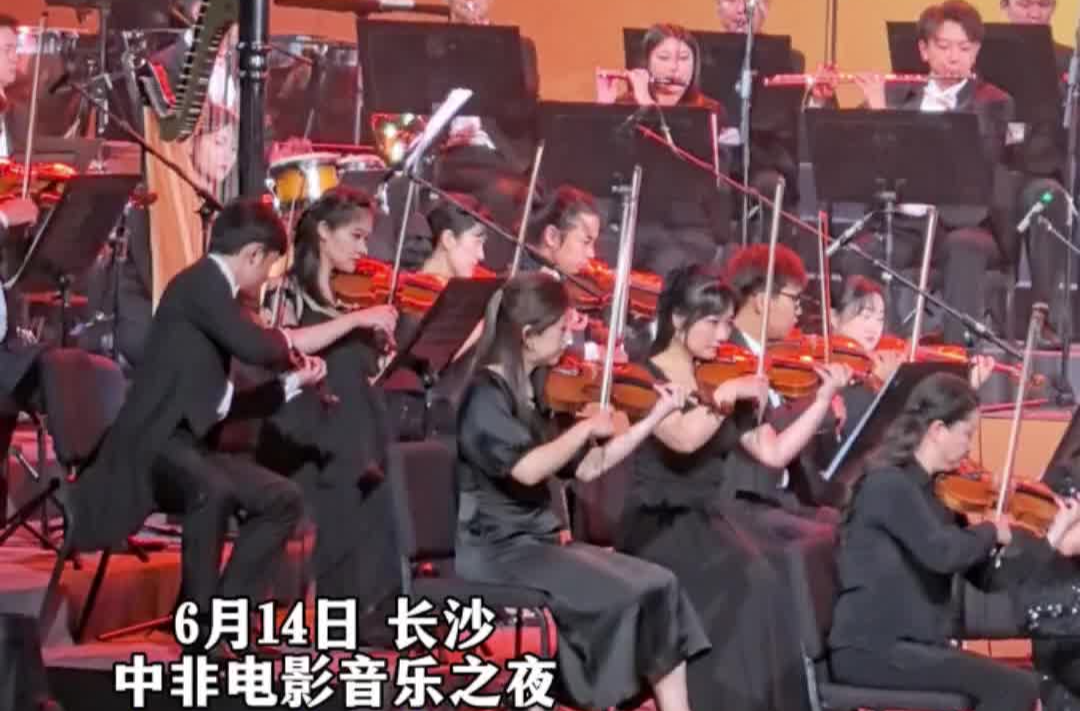 视频|中非电影音乐之夜，此曲一响令人置身“动物世界”