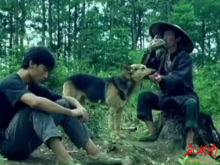 《那山 那人 那狗》 原著作者彭见明：我想表达的是真诚和勤劳