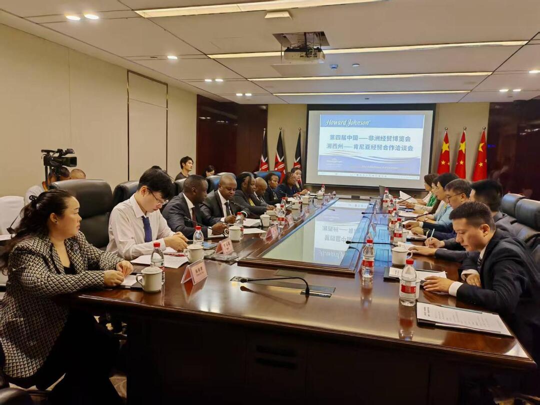 湘西州组团亮相第四届中非经贸博览会
