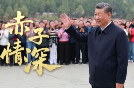 时政微视频丨赤子情深