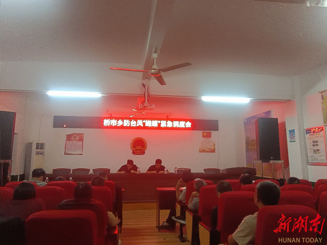 桂阳县桥市乡：以“迅”应“汛” 四道“防线”筑牢群众“安全堤”