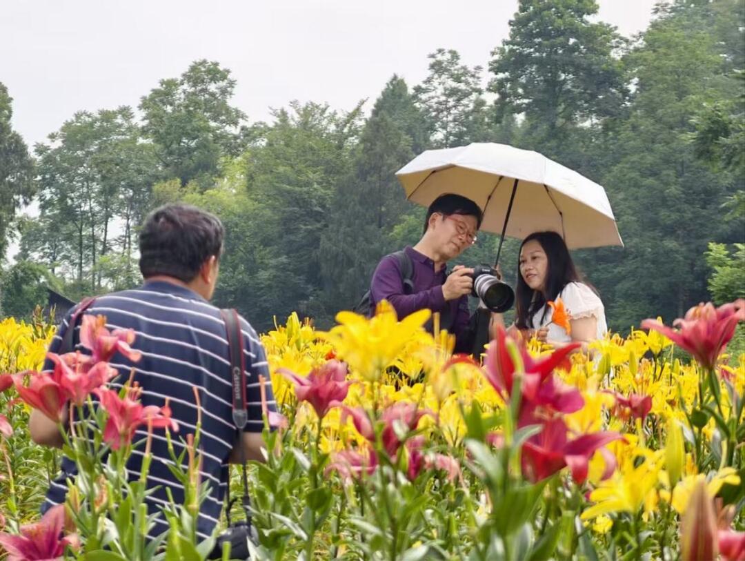 龙山第二届百合花摄影艺术节开幕