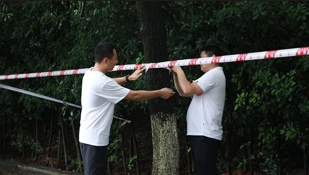 北湖区：多措并举筑牢防汛安全防线