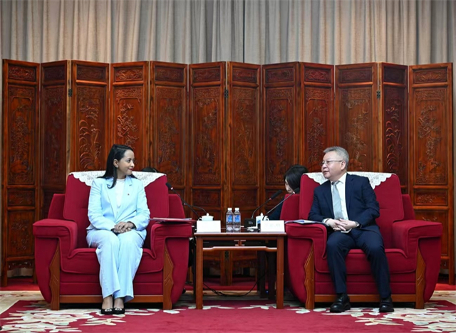 Secretary Shen Meets with Madagascar's Foreign Minister
