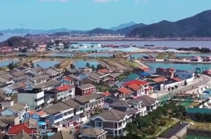 第一视点丨蚂蚁岛上的“垦”与“啃”