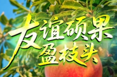 联播+｜友谊硕果盈枝头