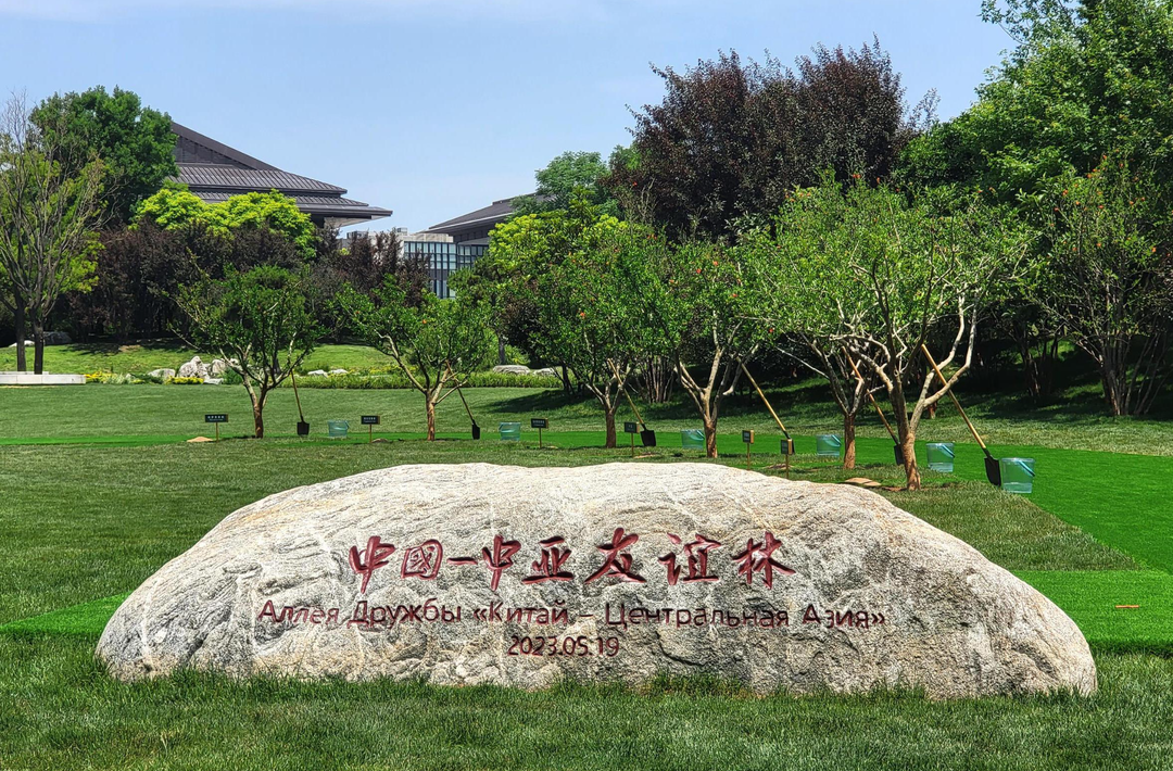 从习主席引用的谚语，读懂中国－中亚命运共同体