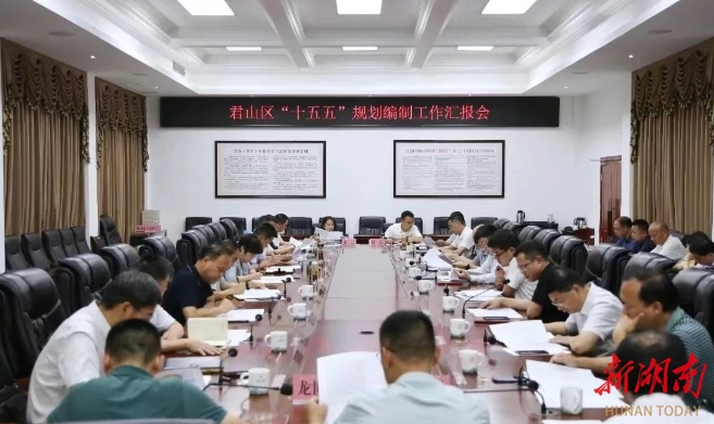 我区召开“十五五”规划编制工作汇报会