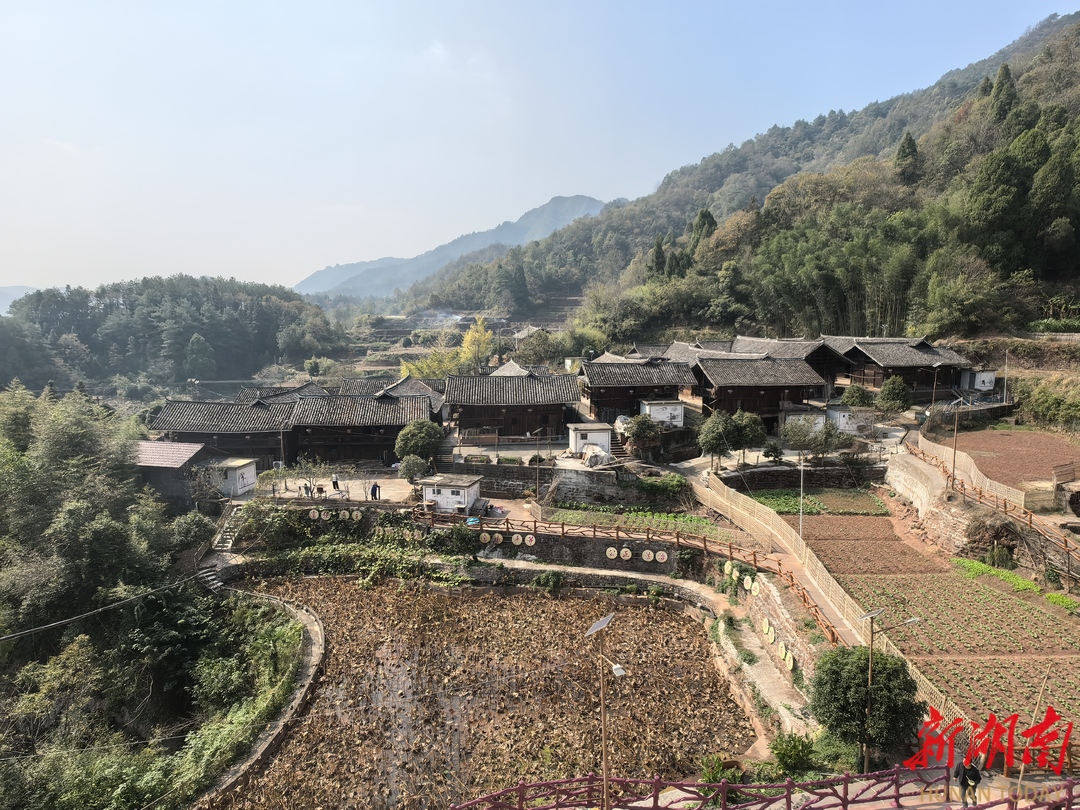 麦穗与星光下的守望——回味乡村振兴第一轮驻村