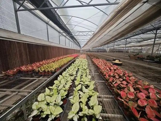 汇智聚力！岳阳市农科院联合多方专家共探科技与产业融合新路径