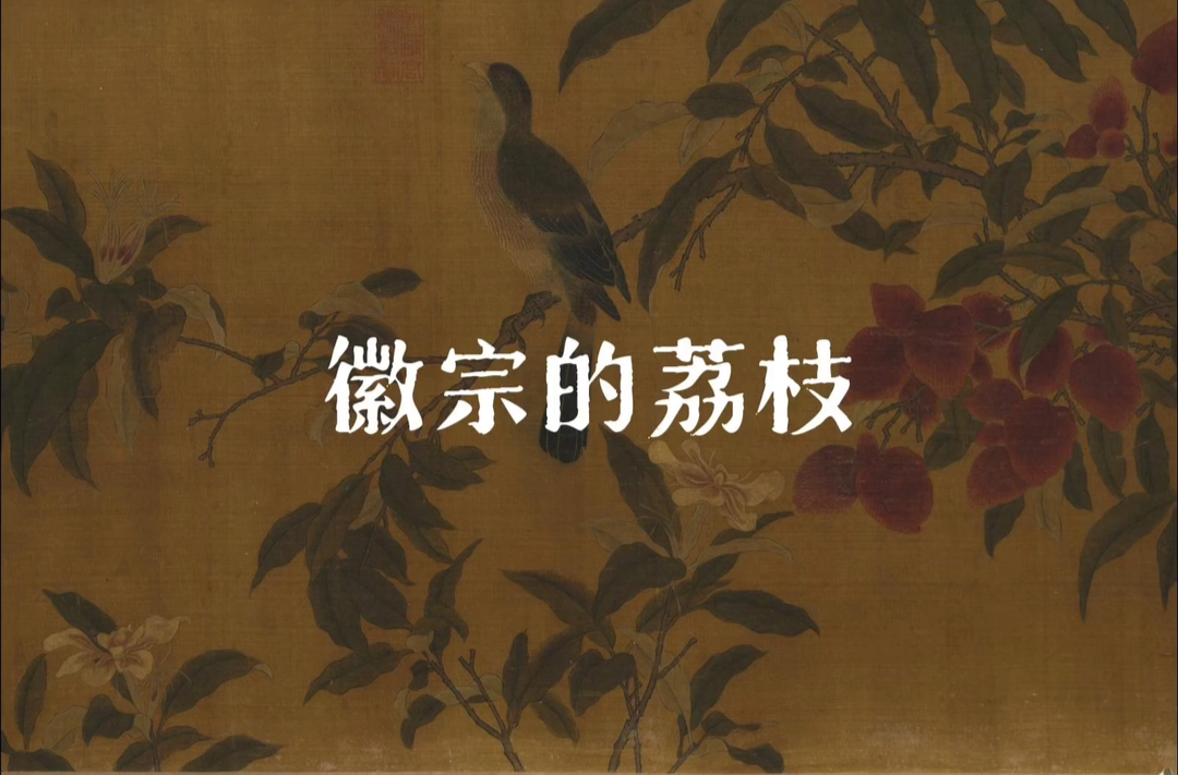 宋徽宗的荔枝