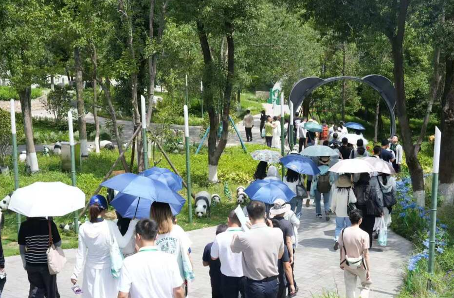 湖南这座城市 刮起了“熊猫旋风”