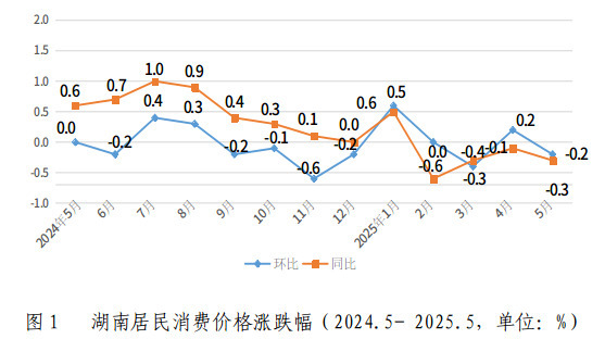 受汽油价格下调影响 ​5月份湖南居民消费价格同比下降0.3%