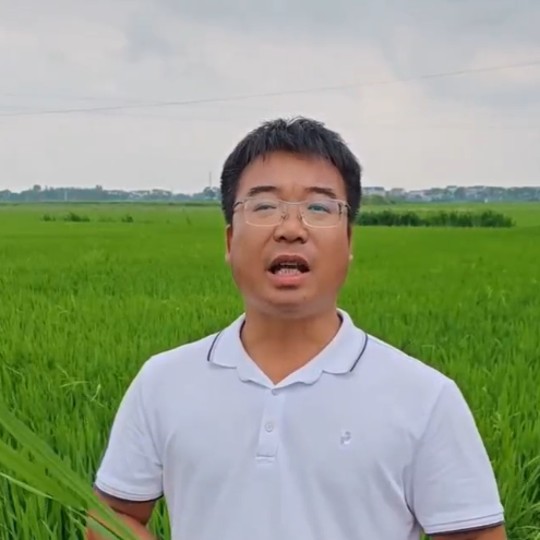 主播看三農(nóng)丨李博士教你種水稻：謹(jǐn)防早稻稻瘟病、紋枯病流行