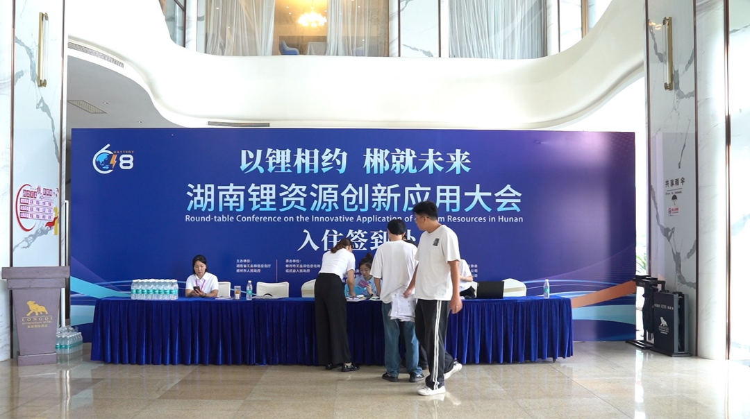 锂电精英聚首临武，围绕锂资源高效开发等核心议题展开研讨