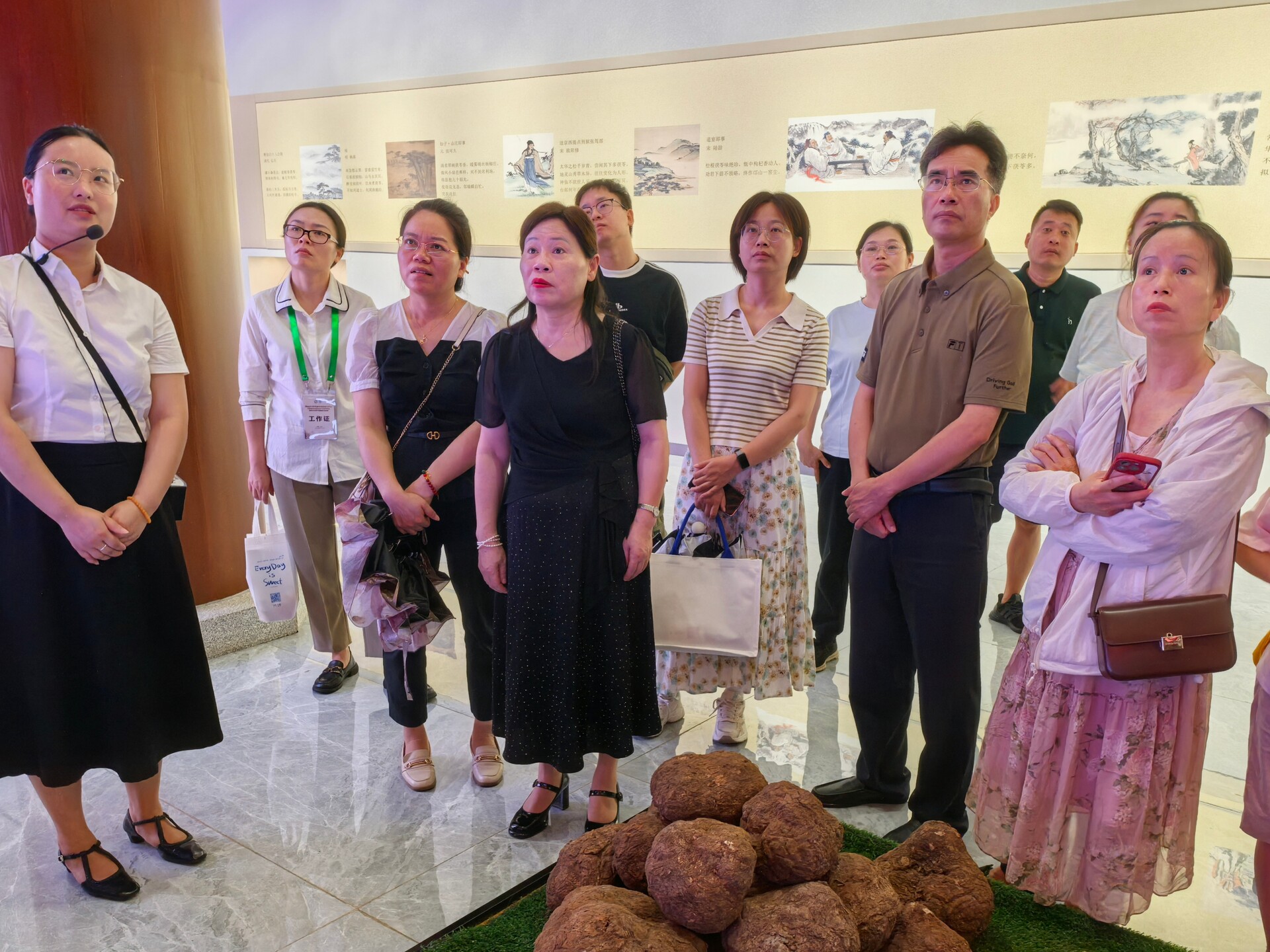 湖南省中药制剂专委会赴靖州调研，助力中医药大健康产业发展