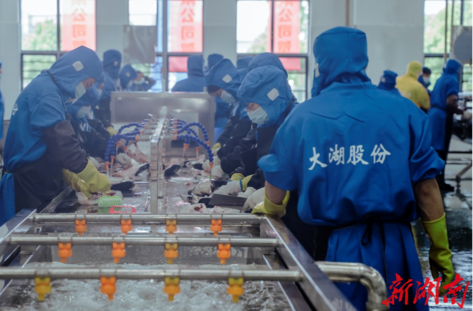 大湖股份罗订坤：转型大健康，企业发展更健康|湘商，向上①