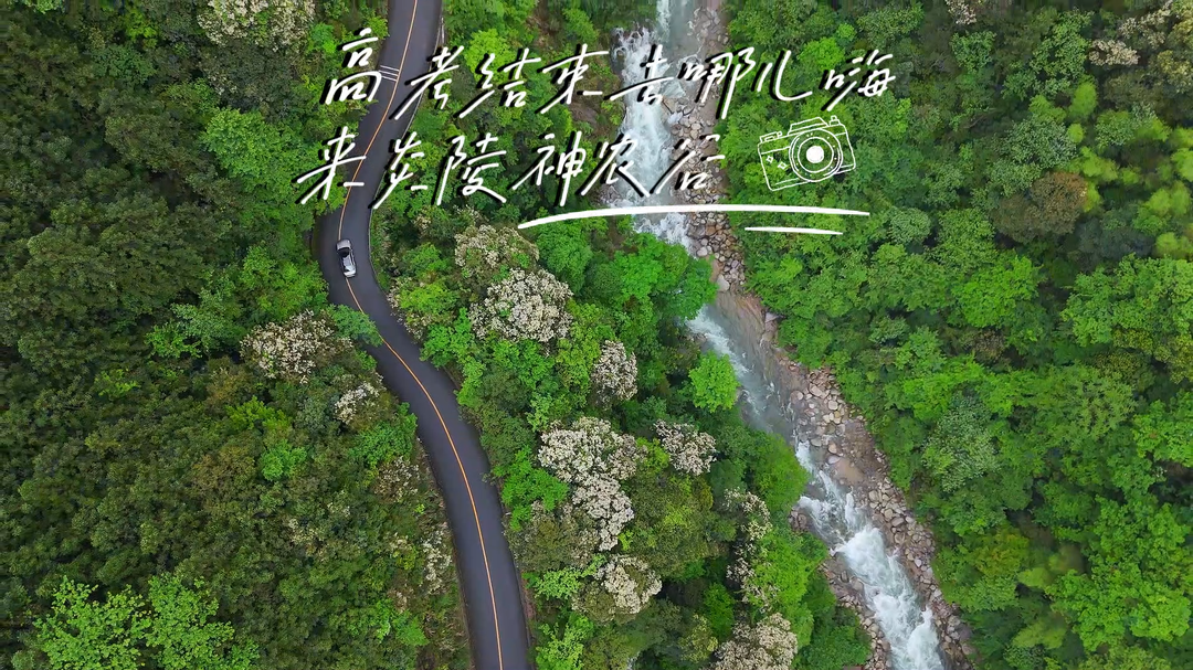 把准考证变成门票！来神农谷解锁沉浸式趣野玩法