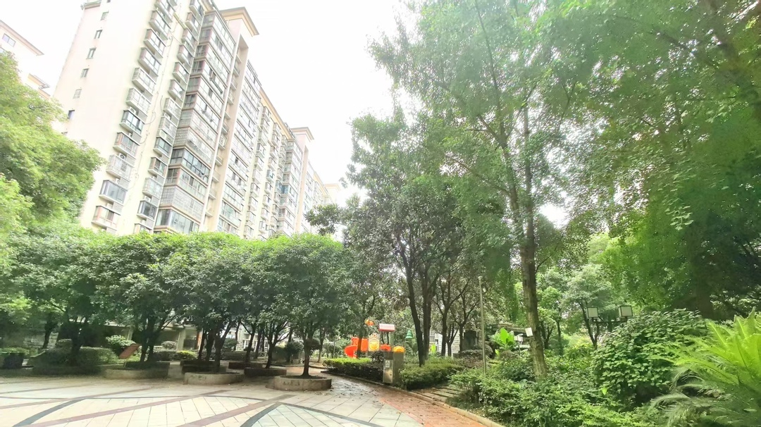 党旗聚力·幸福青园①丨山水洲城小区——从“无序管”到“共同管”，“五方”共治激活治理末梢