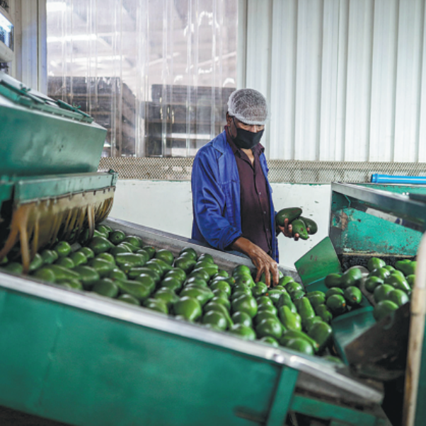 Southern Africa rethinks trade partnerships