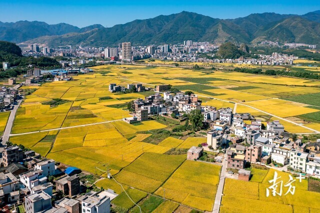 金融活水浇灌“千亿瓷都” 浙商银行长沙分行发力特色化县域金融