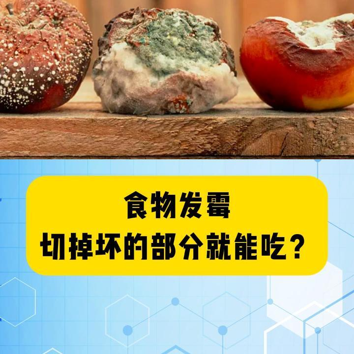 科普一下｜食物發(fā)霉，切掉壞的部分就能吃？