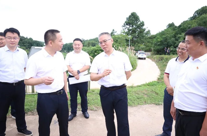 曹慧泉调研绿心地区保护和产业发展工作