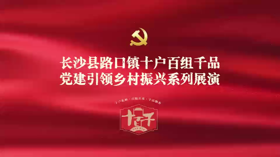 长沙县路口镇十户百组千品党建引领乡村振兴系列展演第五期