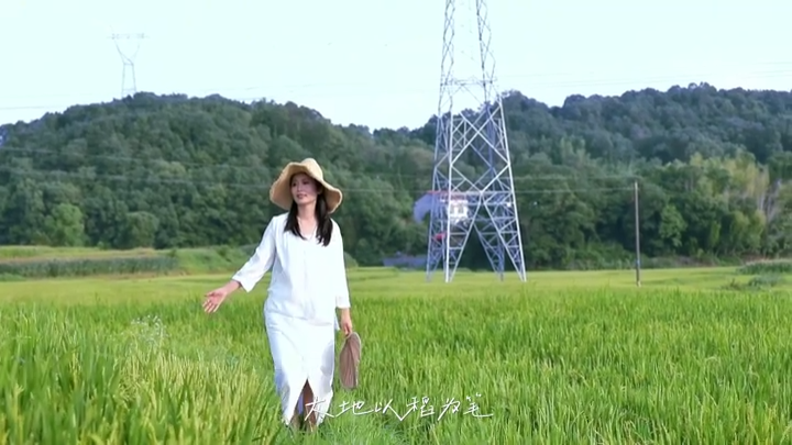 视频|蛇形山镇新南口村：风过盛夏，闯入千亩稻浪