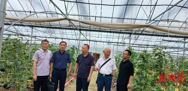 银发躬耕送“技”忙