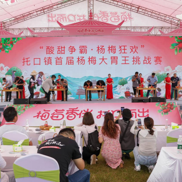 清江湖畔 杨梅飘香 洪江市托口镇杨梅节启幕