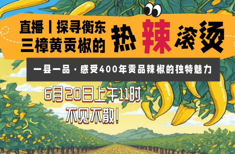 直播预告丨探寻衡东三樟黄贡椒的“热辣滚烫” 感受400年贡品辣椒的独特魅力