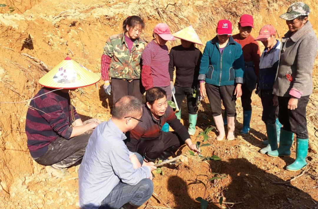 三江口瑤族鎮(zhèn)：踐行“三會三文”精神  交出民生滿意答卷