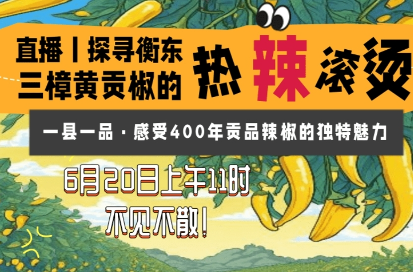 直播预告丨探寻衡东三樟黄贡椒的“热辣滚烫” 感受400年贡品辣椒的独特魅力