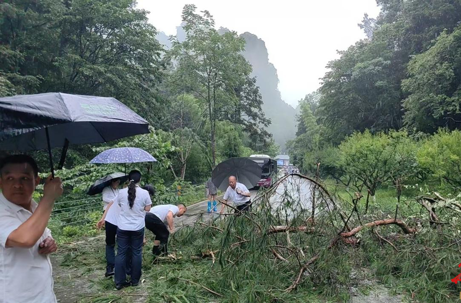 闻“汛”而动丨张旅集团闻汛而动，全力确保安全度汛