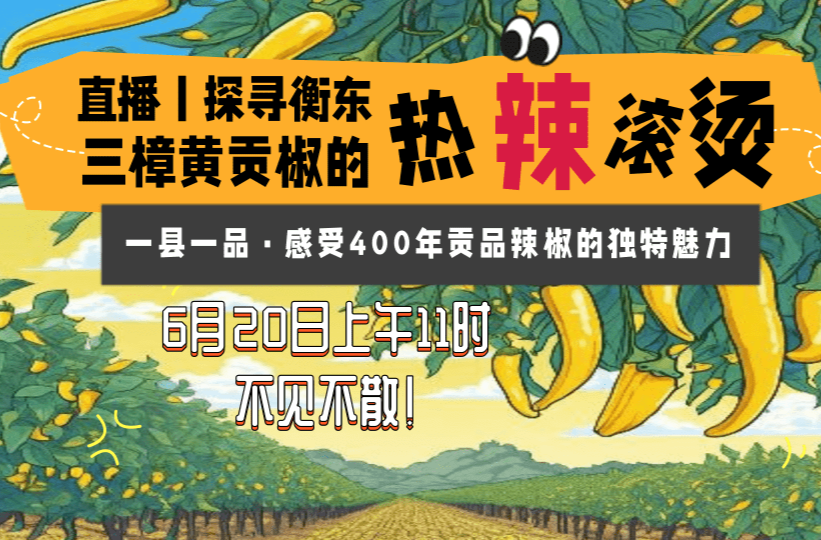 直播回顾丨探寻衡东三樟黄贡椒的“热辣滚烫” 感受400年贡品辣椒的独特魅力
