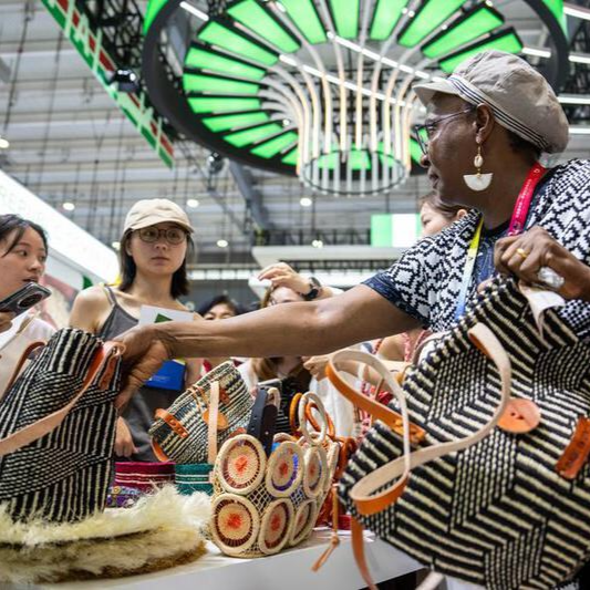 Expo shows Sino-African ties' progress