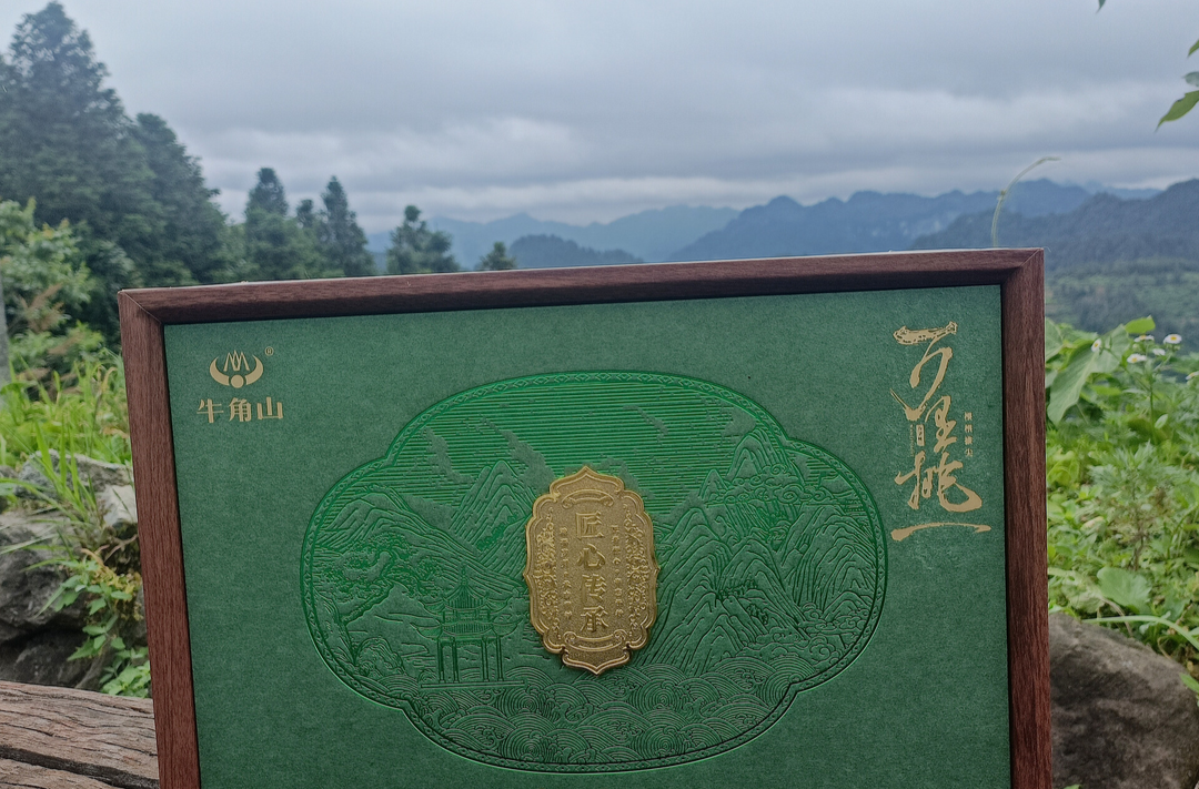 古丈毛尖再获殊荣！牛角山生态农业科技开发有限公司产品斩获“中茶杯”特别金奖