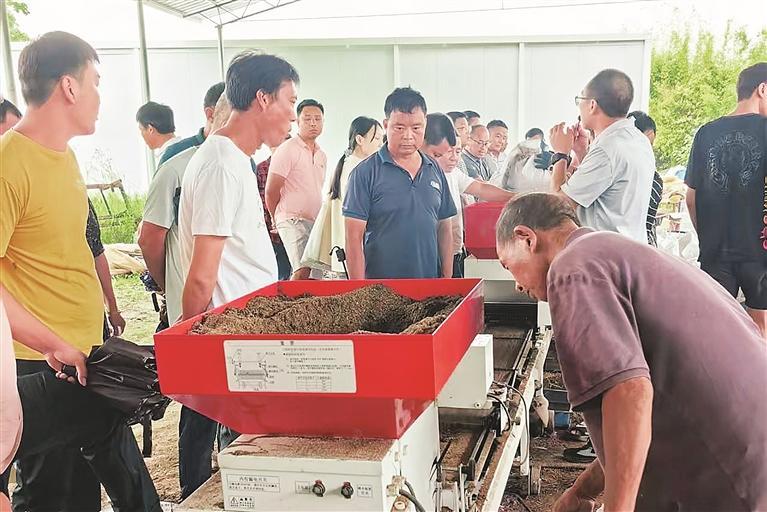 永兴县：技术培训赋能水稻种植户