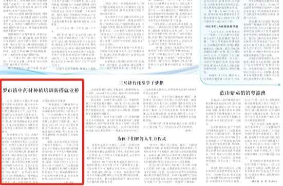 罗市镇中药材种植培训新搭就业桥 | 湖南日报