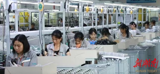 远销48个国家和地区！衡南慧迪用中国“智”造定义智能家居新体验