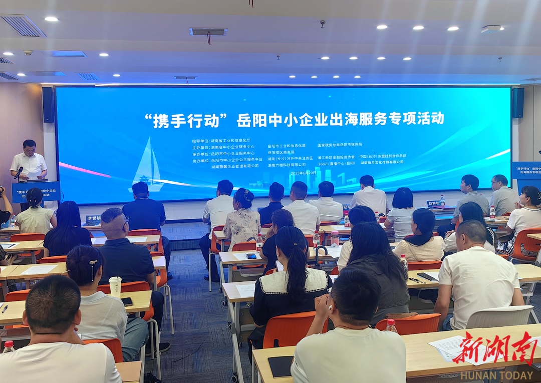 携手行动！岳阳助力中小企业“扬帆出海”