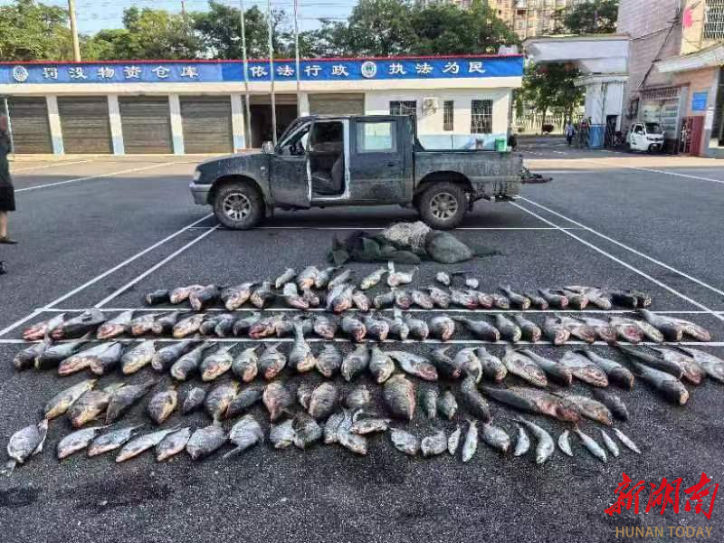 禁渔区顶风作案！沅江接连查处阻挠执法、非法捕捞水产品案 
