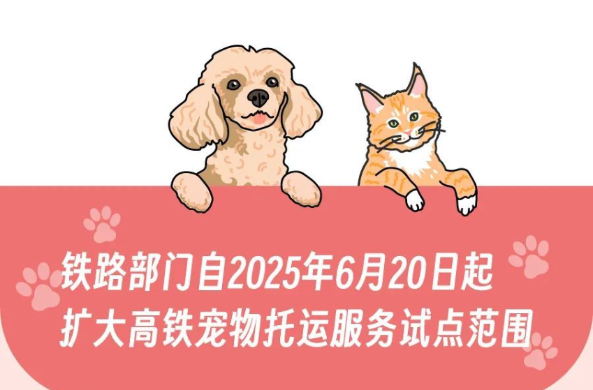 线路由1条增至8条 高铁宠物托运服务试点范围今起扩大